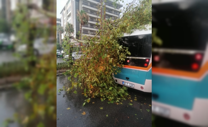 Ağaçlar devrildi, trafik felç oldu!