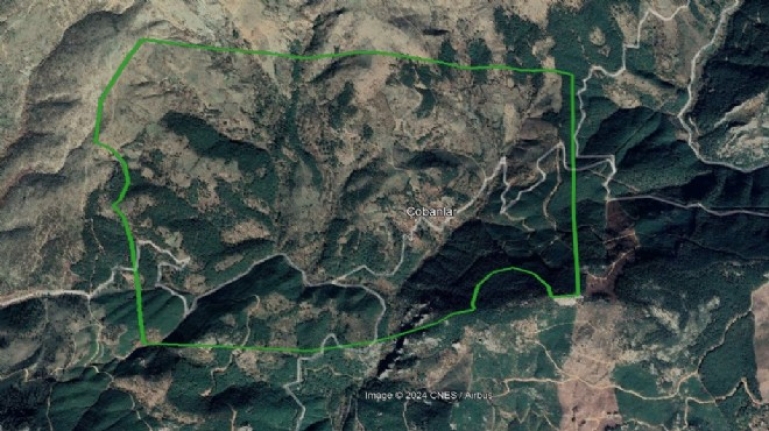 Madra Dağı’na zehir kuşatması… Sıra Bergama’da!