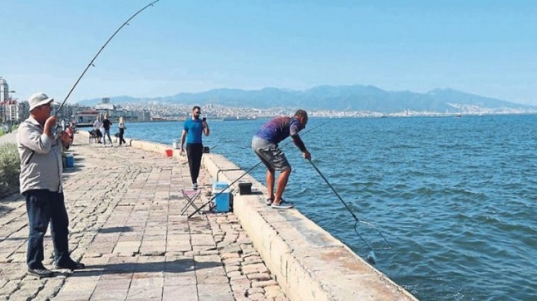 İşte Körfez'de balık tutmanın bedeli!