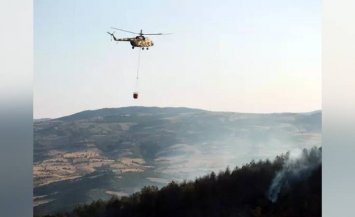 Yozgat'ta ormanlık alandaki yangınla ilgili 2 şüpheli gözaltına alındı