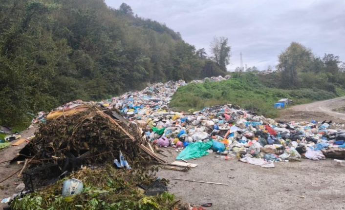 Bartın'daki çevre kirliliğine 6,4 milyon TL ceza