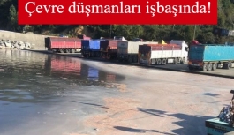 Denize kamyonla atık boşaltırken yakalandı