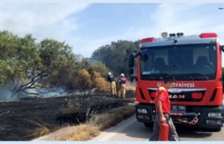 4 yılda 46 bin nokta... Yangın kent İzmir