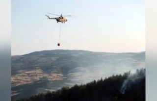 Yozgat'ta ormanlık alandaki yangınla ilgili...