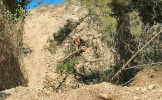 İkizköy Çevre Komitesi: “Akbelen Ormanı Bir Kez Daha Katlediliyor”