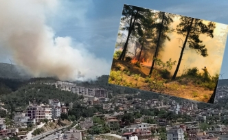 Hatay'da orman yangını kontrol altına alındı: 15 hektar alan zarar gördü