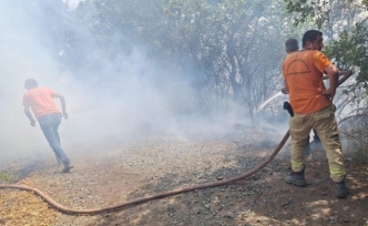 İzmir, Balıkesir, Kahramanmaraş ve Kastamonu'da orman yangını: Söndürme çalışmalarında son durum