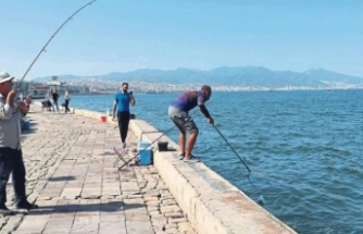 İşte Körfez'de balık tutmanın bedeli!